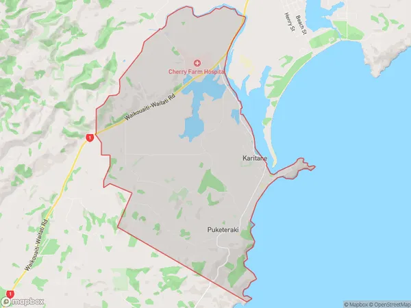 Karitane, Otago Polygon Area Map