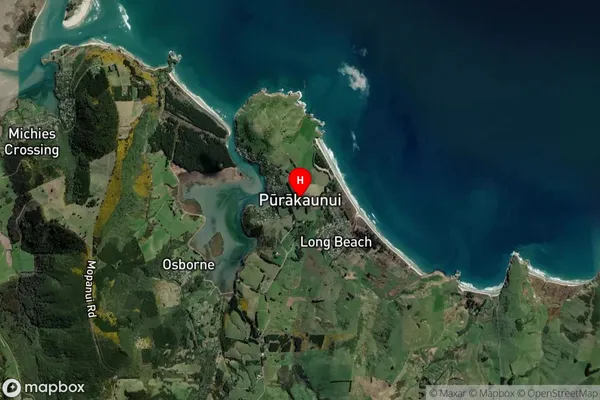 Purakaunui,Otago Satellite Map