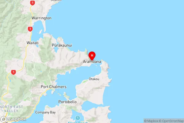 Aramoana,Otago Region Map