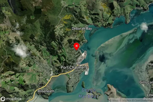 Careys Bay,Otago Satellite Map