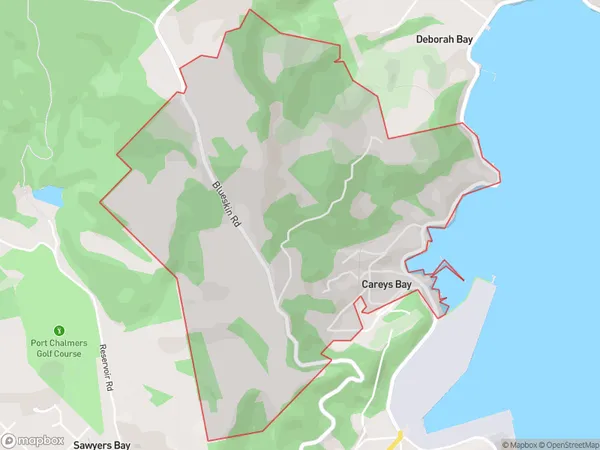 Careys Bay, Otago Polygon Area Map