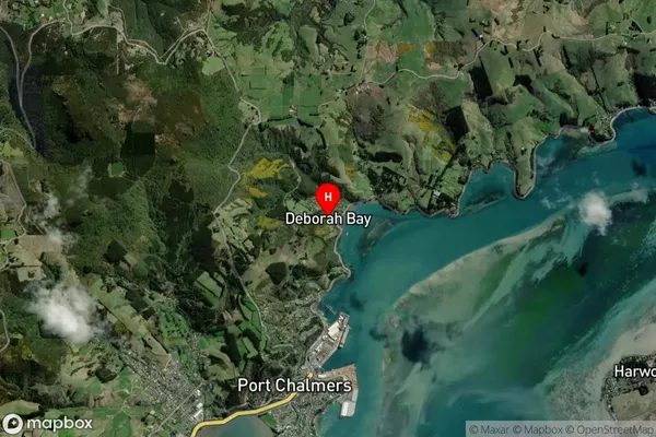 Deborah Bay,Otago Satellite Map