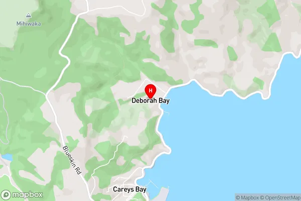 Deborah Bay,Otago Area Map