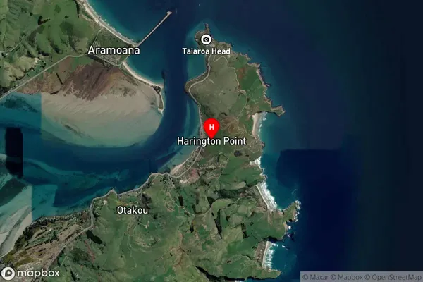 Harington Point,Otago Satellite Map