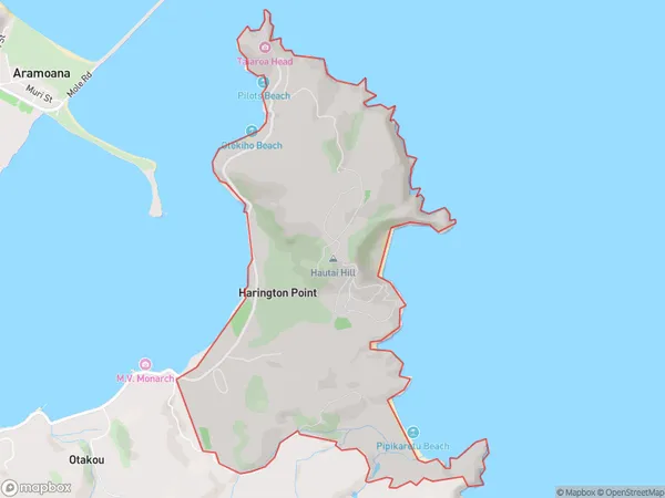 Harington Point, Otago Polygon Area Map