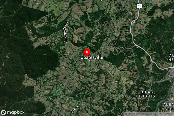 Coatesville,Auckland Satellite Map