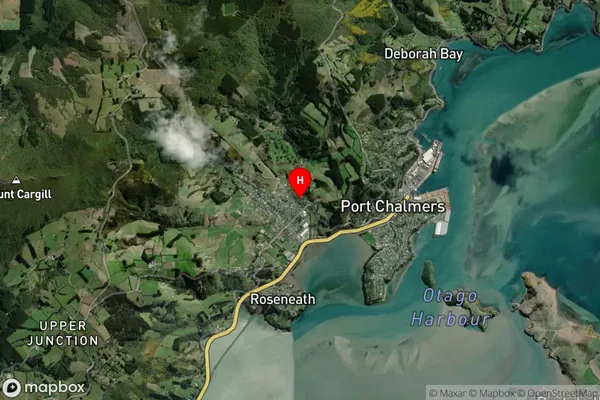 Sawyers Bay,Otago Satellite Map