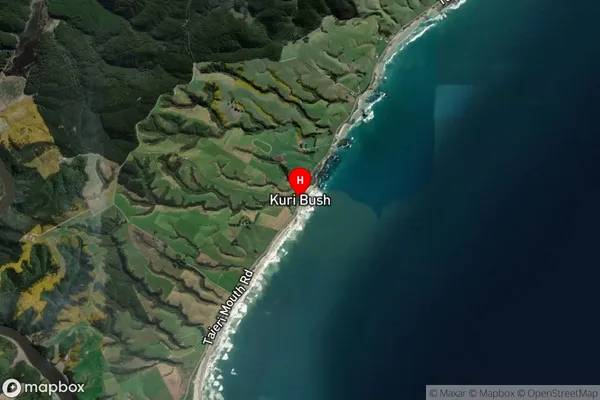 Kuri Bush,Otago Satellite Map