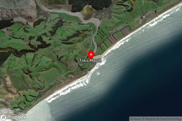 Toko Mouth,Otago Satellite Map