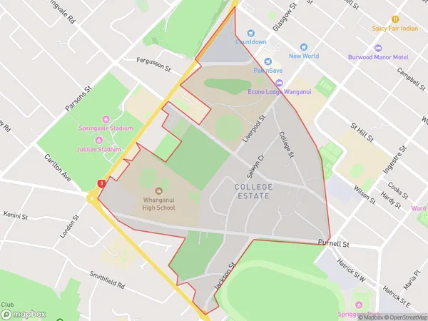 College Estate, Manawatu-Wanganui Polygon Area Map