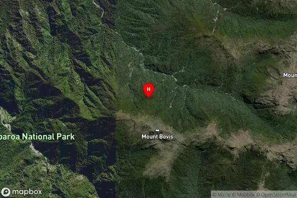 Paparoa National Park,West Coast Satellite Map