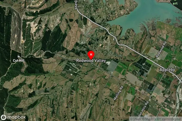 Redwood Valley,Tasman Satellite Map