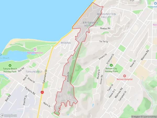 Britannia Heights, Nelson Polygon Area Map