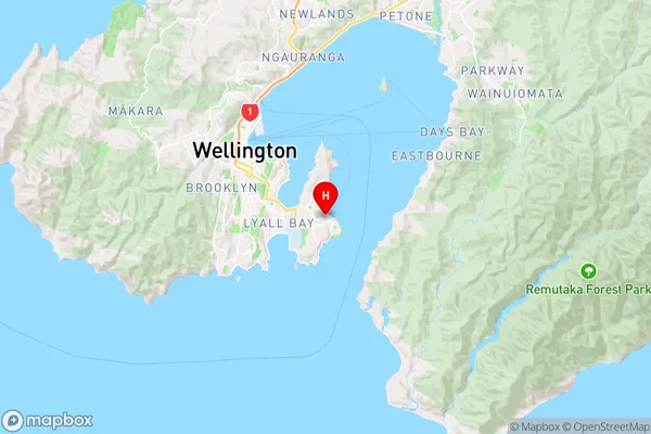 Seatoun,Wellington Region Map