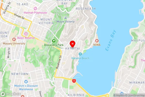 Hataitai,Wellington Area Map