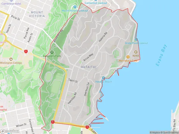 Hataitai, Wellington Polygon Area Map