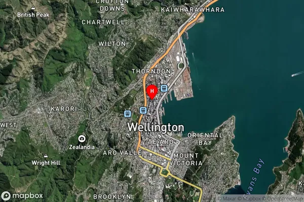 Wellington Central,Wellington Satellite Map