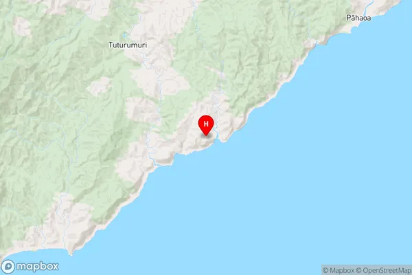 Te Awaiti,Wellington Region Map