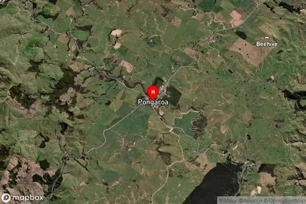 Pongaroa,Manawatu-Wanganui Satellite Map