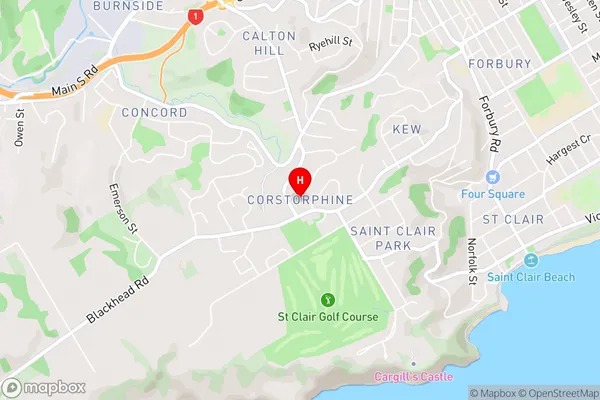 Corstorphine,Otago Area Map