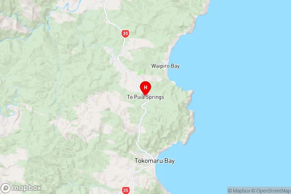 Te Puia Springs,Gisborne Region Map