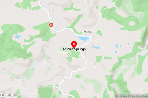 Te Puia Springs,Gisborne Area Map