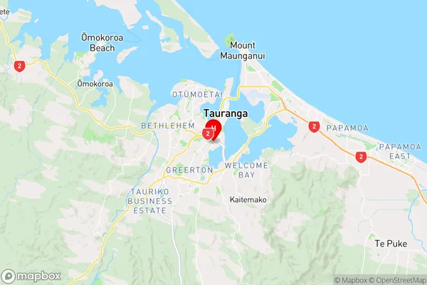 Tauranga South,Bay of Plenty Region Map