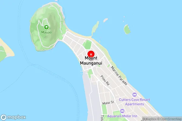 Mount Maunganui,Bay of Plenty Area Map