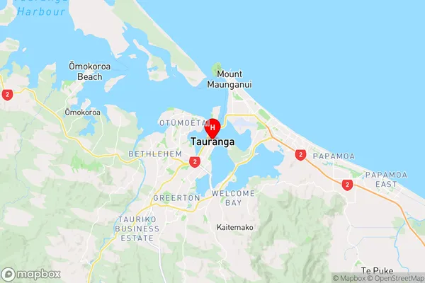 Tauranga,Bay of Plenty Region Map