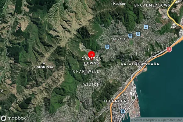 Crofton Downs,Wellington Satellite Map