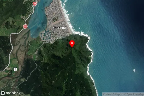 Pauanui,Waikato Satellite Map