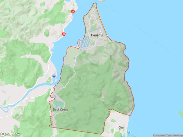 Pauanui, Waikato Polygon Area Map