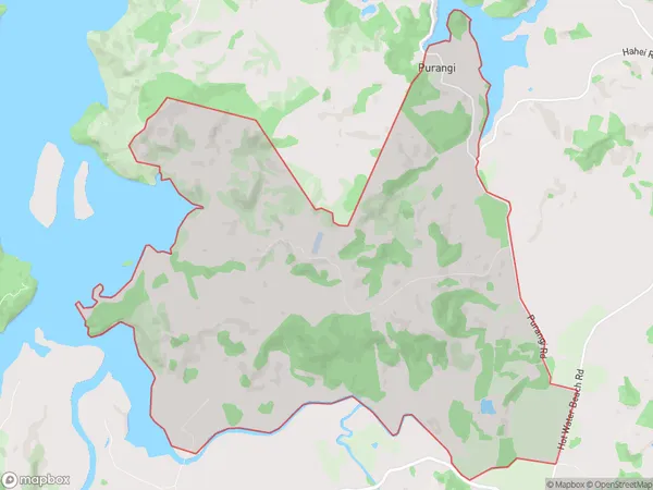 Purangi, Waikato Polygon Area Map