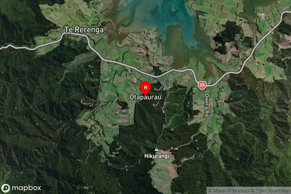 Otapaurau,Waikato Satellite Map