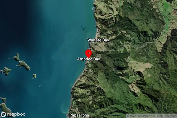 Amodeo Bay,Waikato Satellite Map