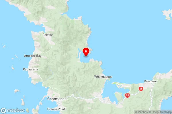 Kennedy Bay,Waikato Region Map