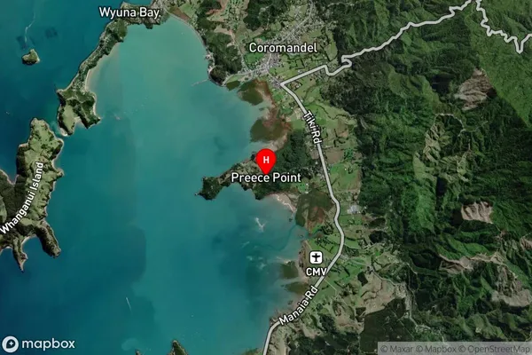 Preece Point,Waikato Satellite Map