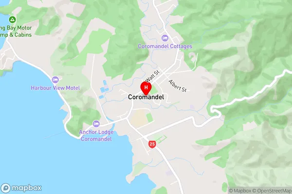 Coromandel,Waikato Area Map