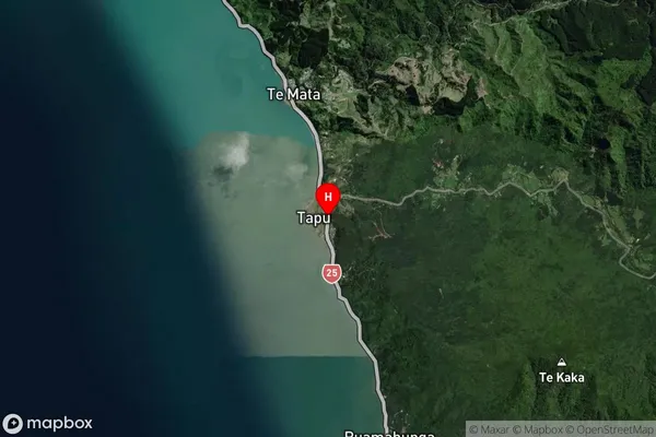 Tapu,Waikato Satellite Map