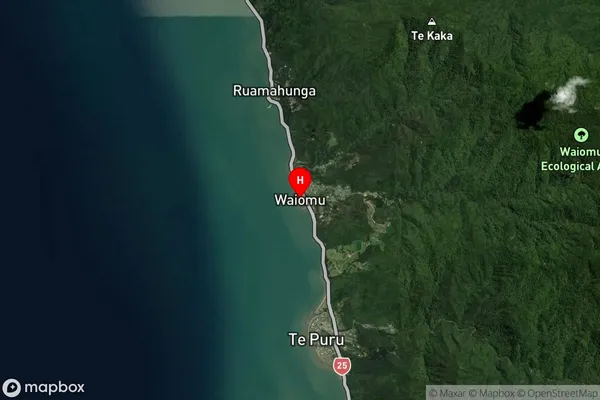 Waiomu,Waikato Satellite Map