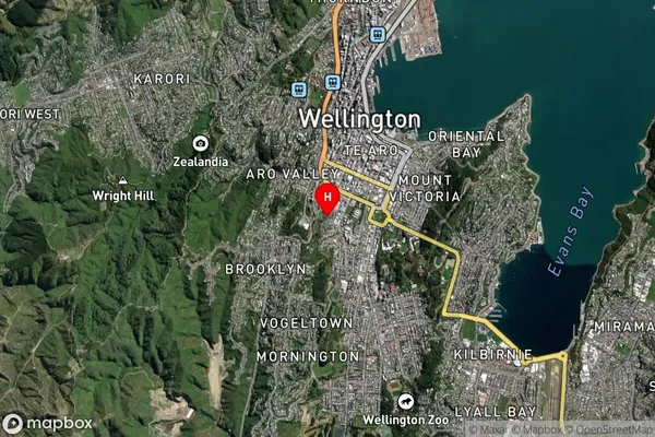 Mount Cook,Wellington Satellite Map