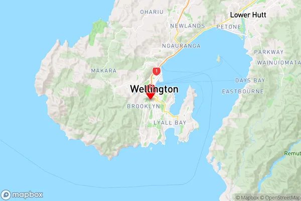 Mount Cook,Wellington Region Map