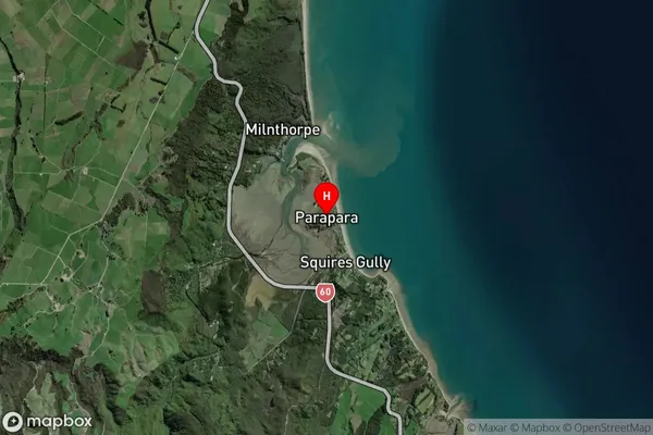 Parapara,Tasman Satellite Map