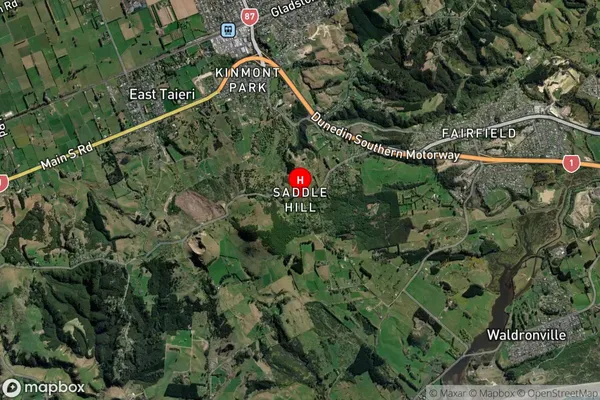 Saddle Hill,Otago Satellite Map