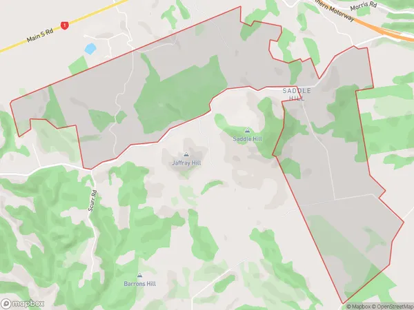 Saddle Hill, Otago Polygon Area Map