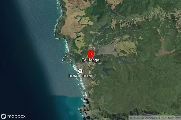 Te Henga / Bethells Beach,Auckland Satellite Map