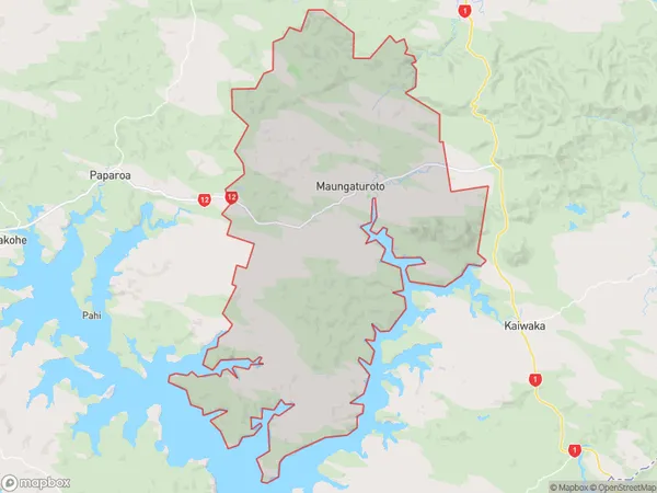 Maungaturoto, Northland Polygon Area Map