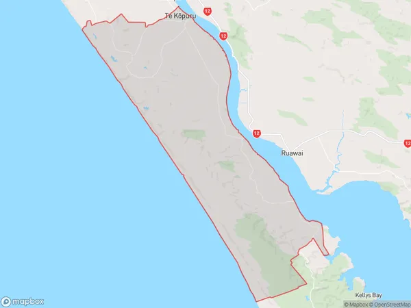 Te Kopuru, Northland Polygon Area Map