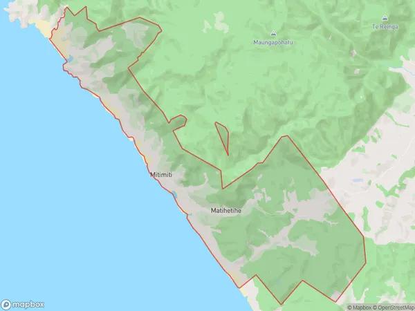 Mitimiti, Northland Polygon Area Map