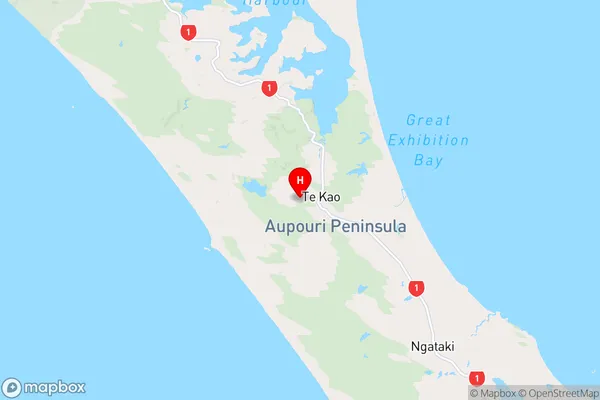 Te Kao,Northland Region Map